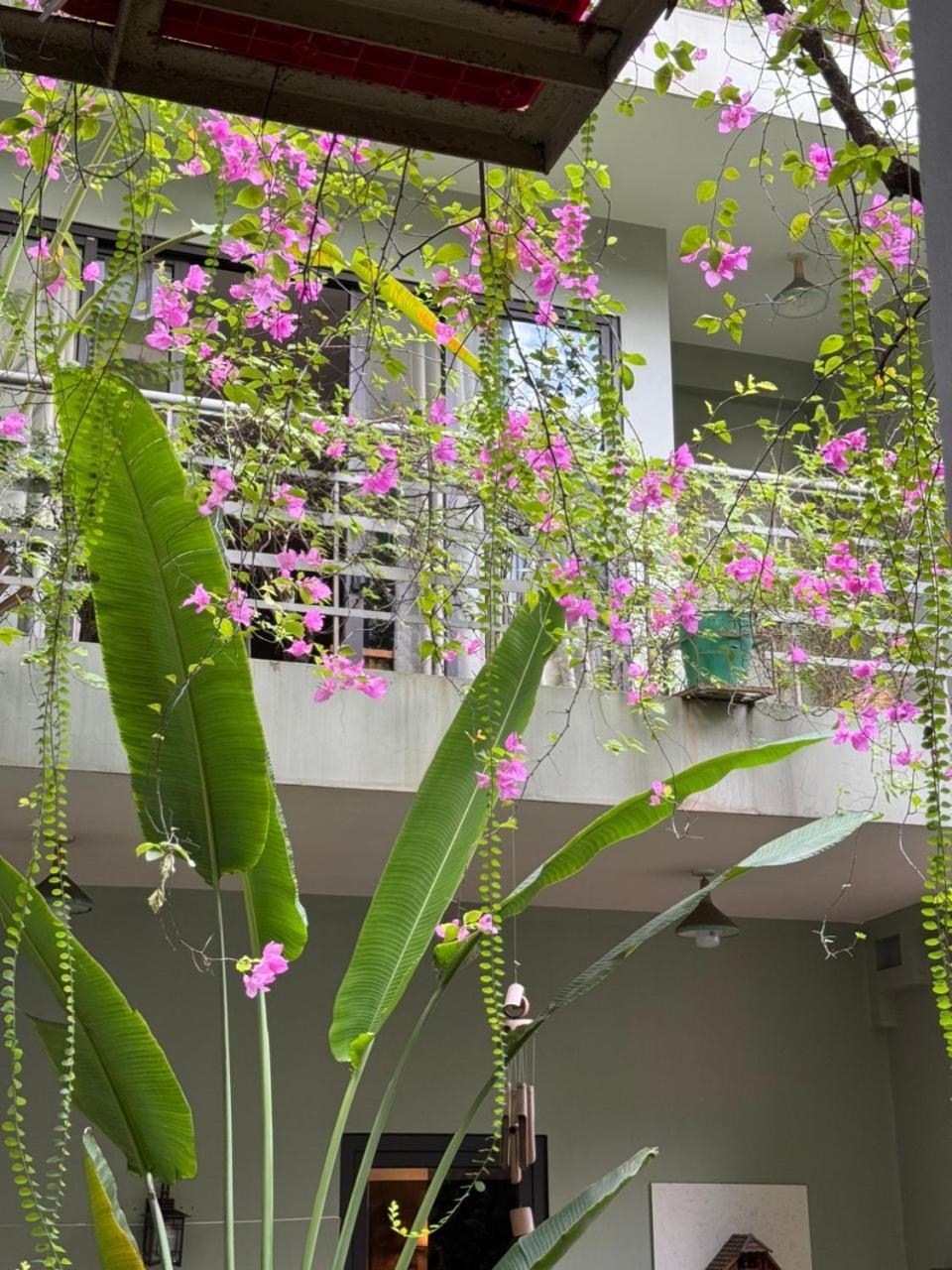 Appartamento Farm- Friendly-Super Location-Old Quarter -Nexflixtv Hanoi Esterno foto